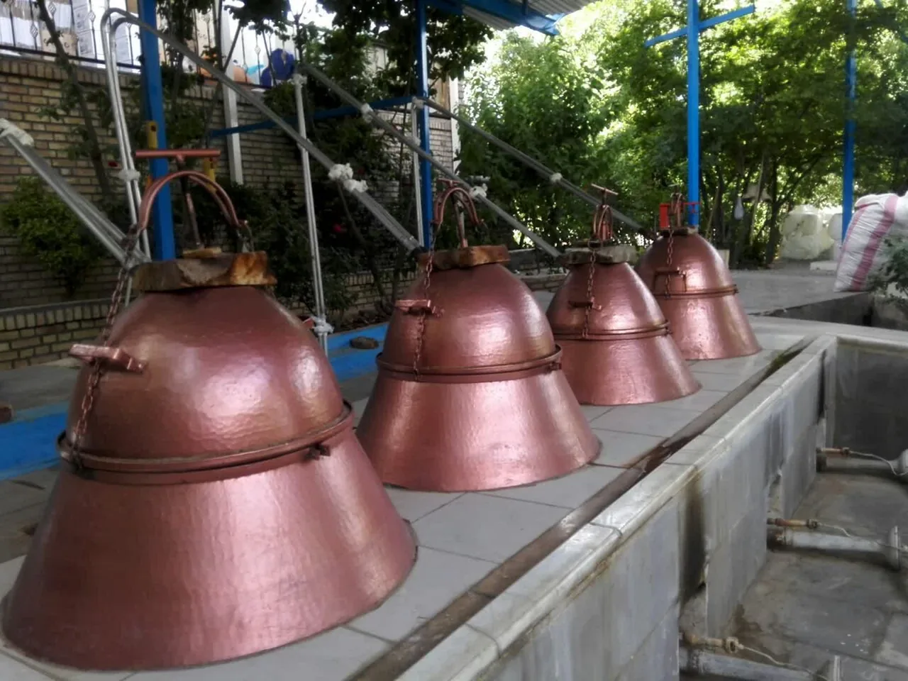 گلاب دوآتشه عرقیجات گیاهی ومعجون شمیم گل