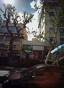 گیاهان دارویی دارالشفاء