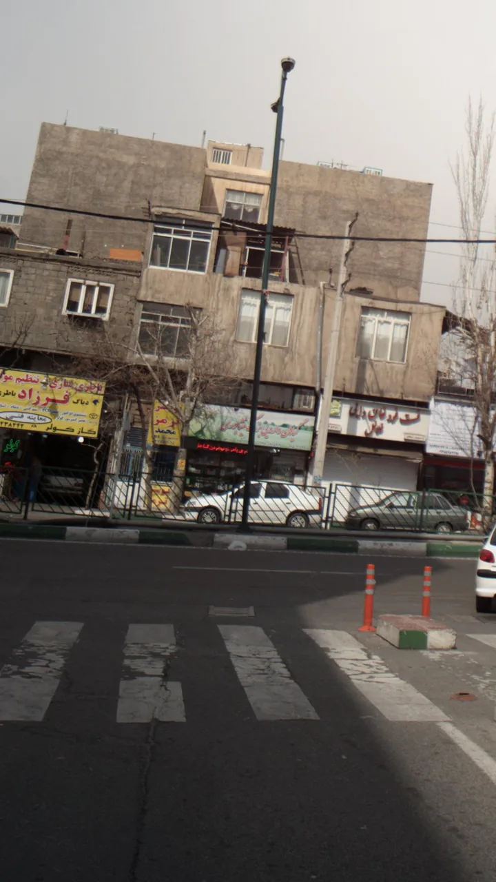 گیاهان دارویی بزرگ نیشابوری