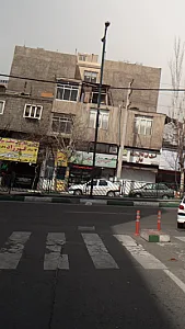 گیاهان دارویی بزرگ نیشابوری