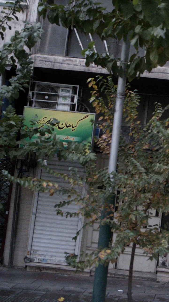 گیاهان دارویی آذین