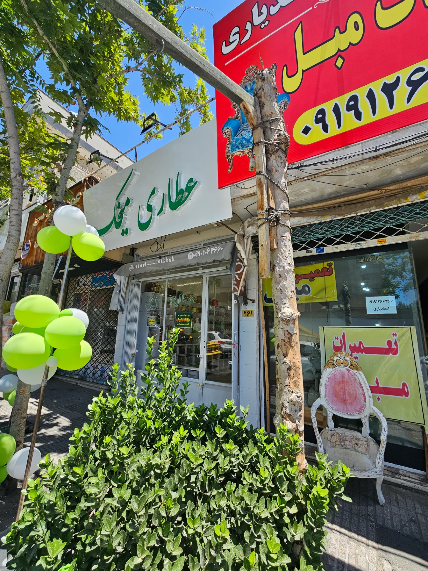 عطاری میخک - طب سنتی و عطاری در تهران - تصویر 2