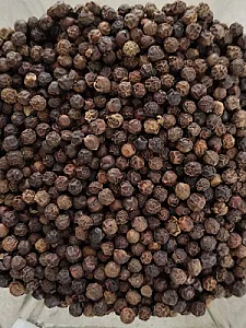 عطاری زیتون