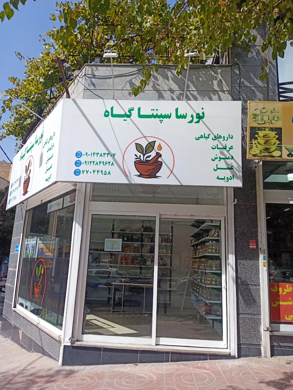 عطارى نورسا سپنتا