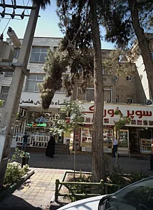 گیاه درمانی هلسی