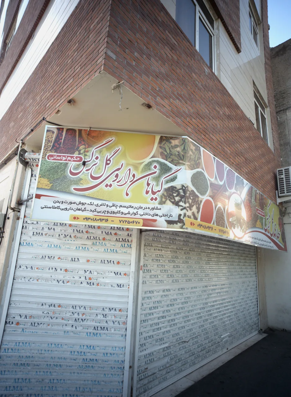 گیاهان دارویی گل نرگس