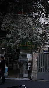 عزاری حکیم زتده