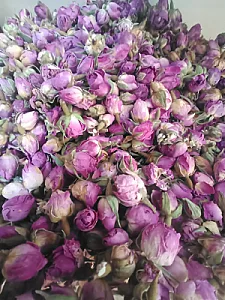 عطاری طوبی شمیران