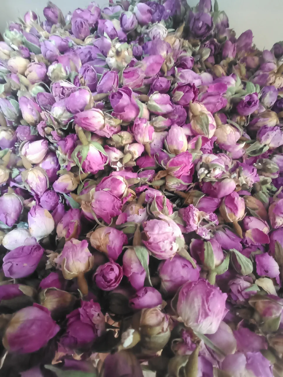 عطاری طوبی شمیران