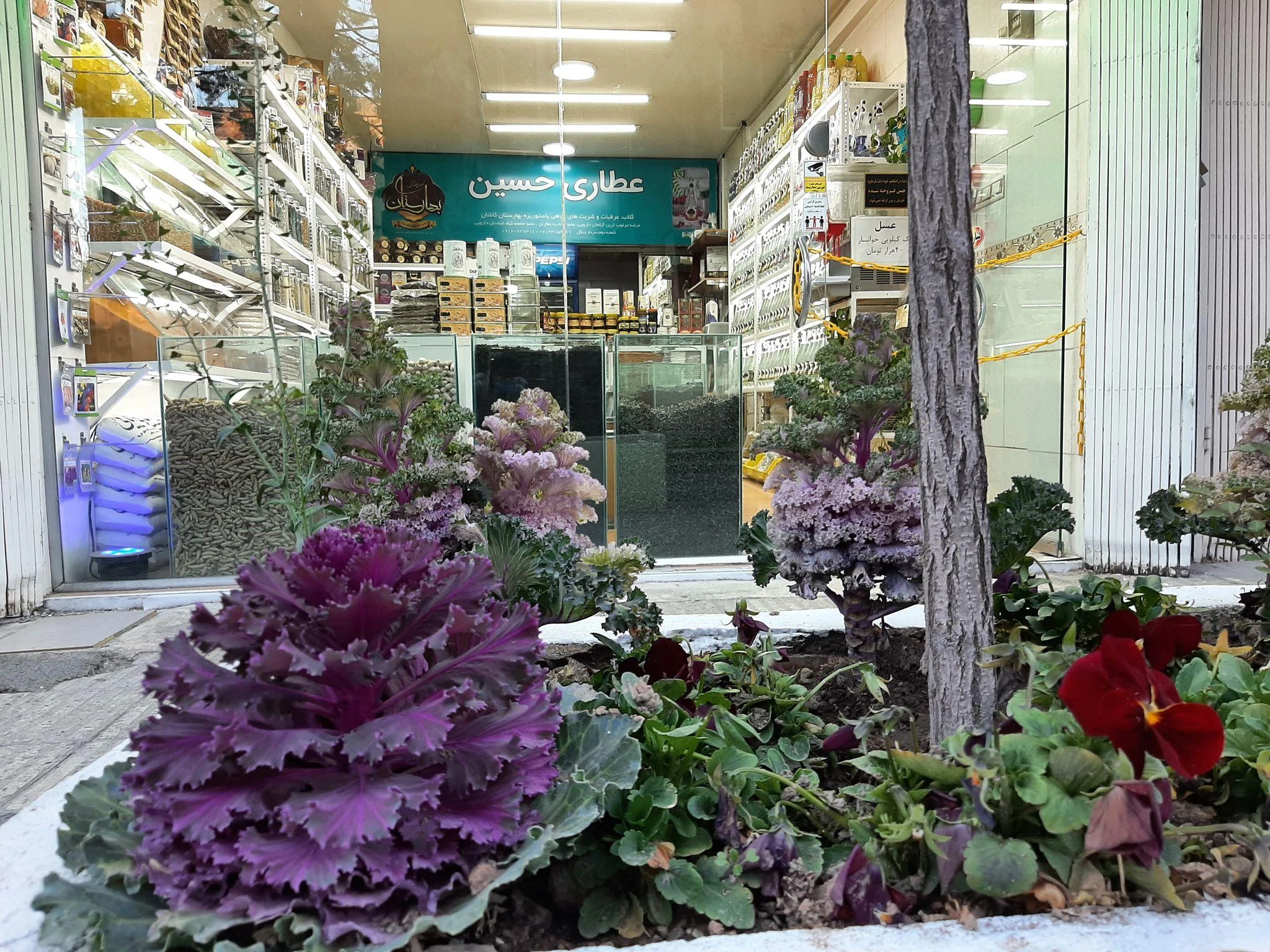 عطاری حسین - طب سنتی و عطاری در تهران - تصویر 2