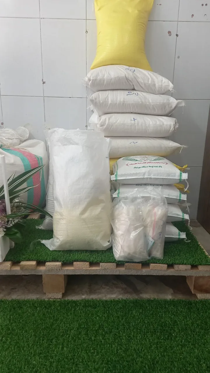 بورس برنج حجتی - تصویر 4