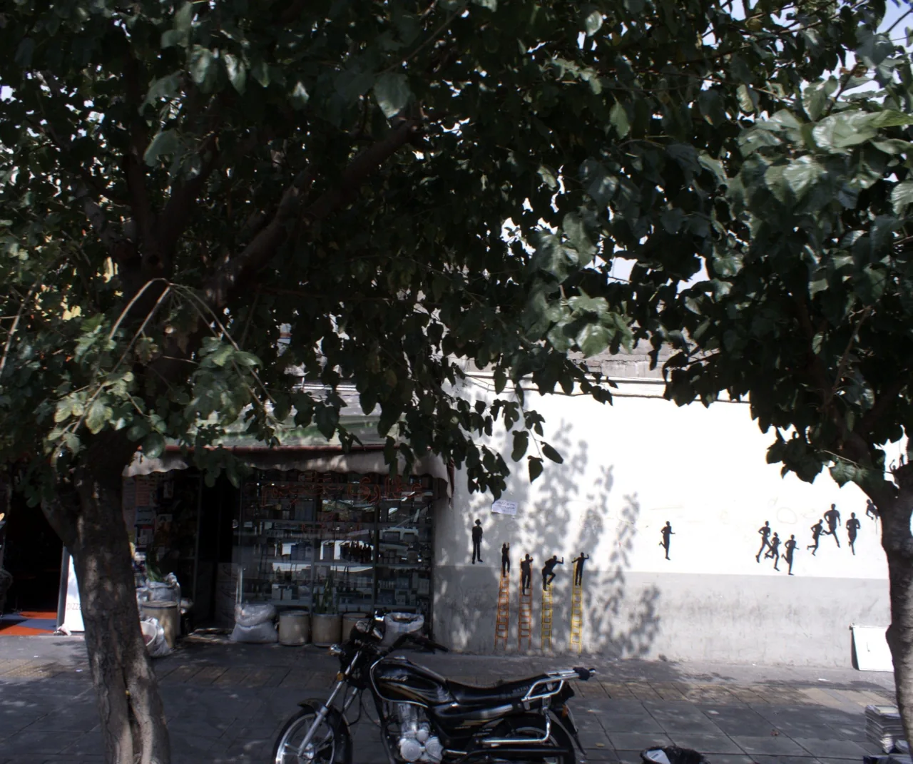 عطاری حکیم بزرگ - تصویر 2