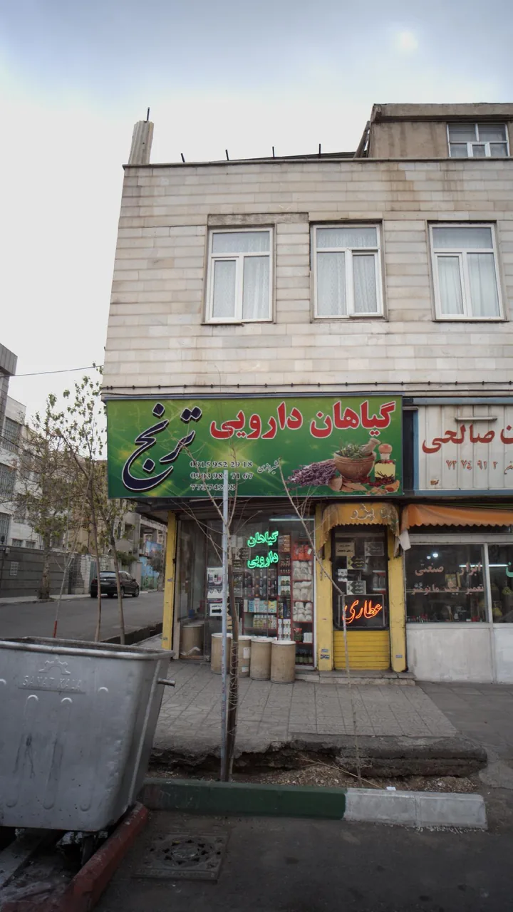 گیاهان دارویی ترنج - تصویر 2