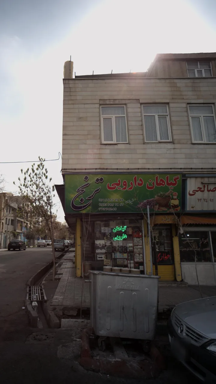 گیاهان دارویی ترنج - تصویر 3