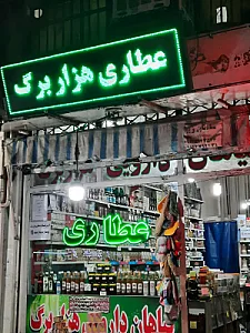 گیاهان دارویی هزار برگ