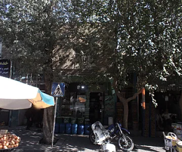 عطاری برگ سبز