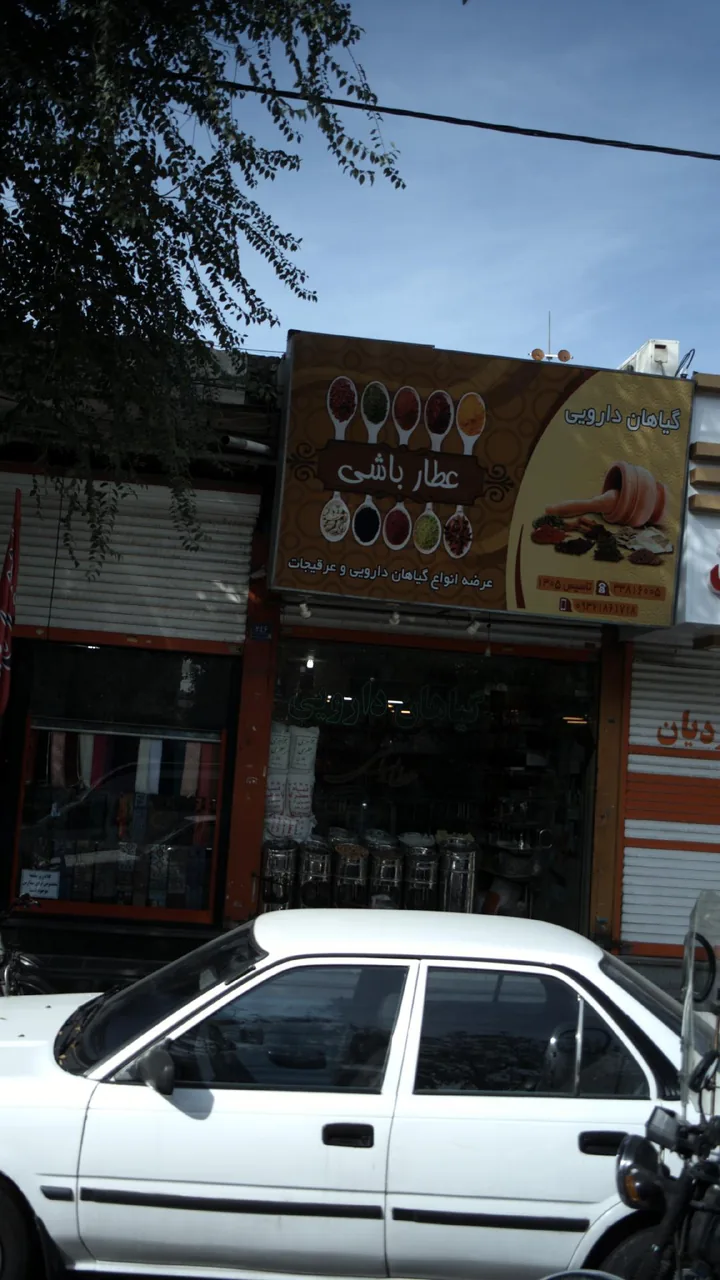 گیاهان دارویی عطار باشی - تصویر 2