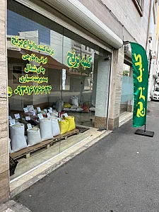 کلبه برنج سیاری
