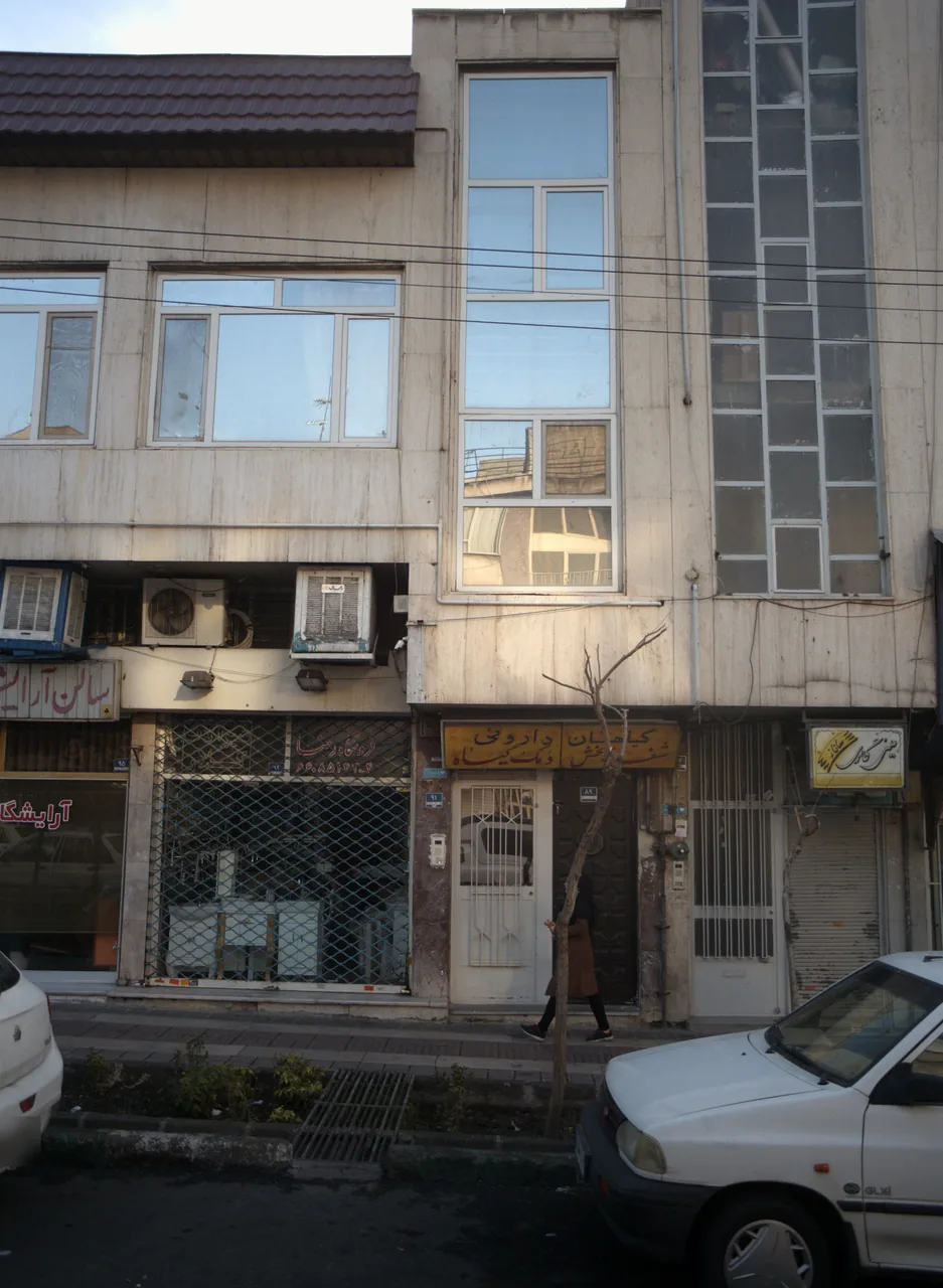 گیاهان داروئی شفابخش دمک گیاه