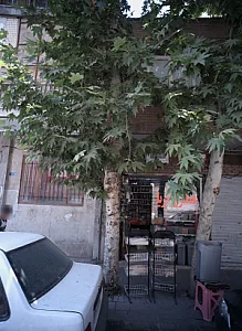 عطاری آریا