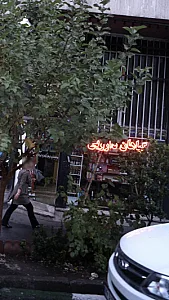 گیاهان دارویی