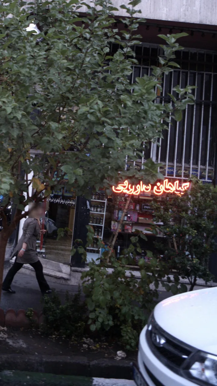 گیاهان دارویی