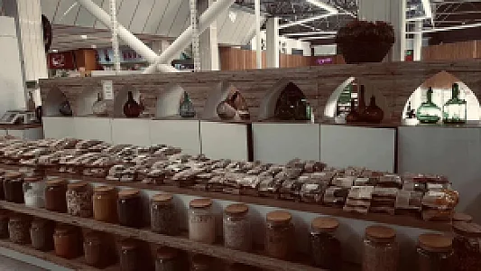 گیاهان دارویی شلیرا