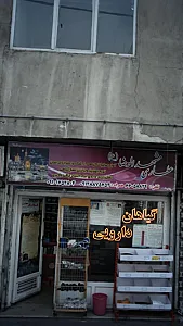 عطاری مشهدالرضا