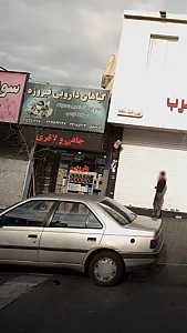 گیاهان دارویی فیروزه