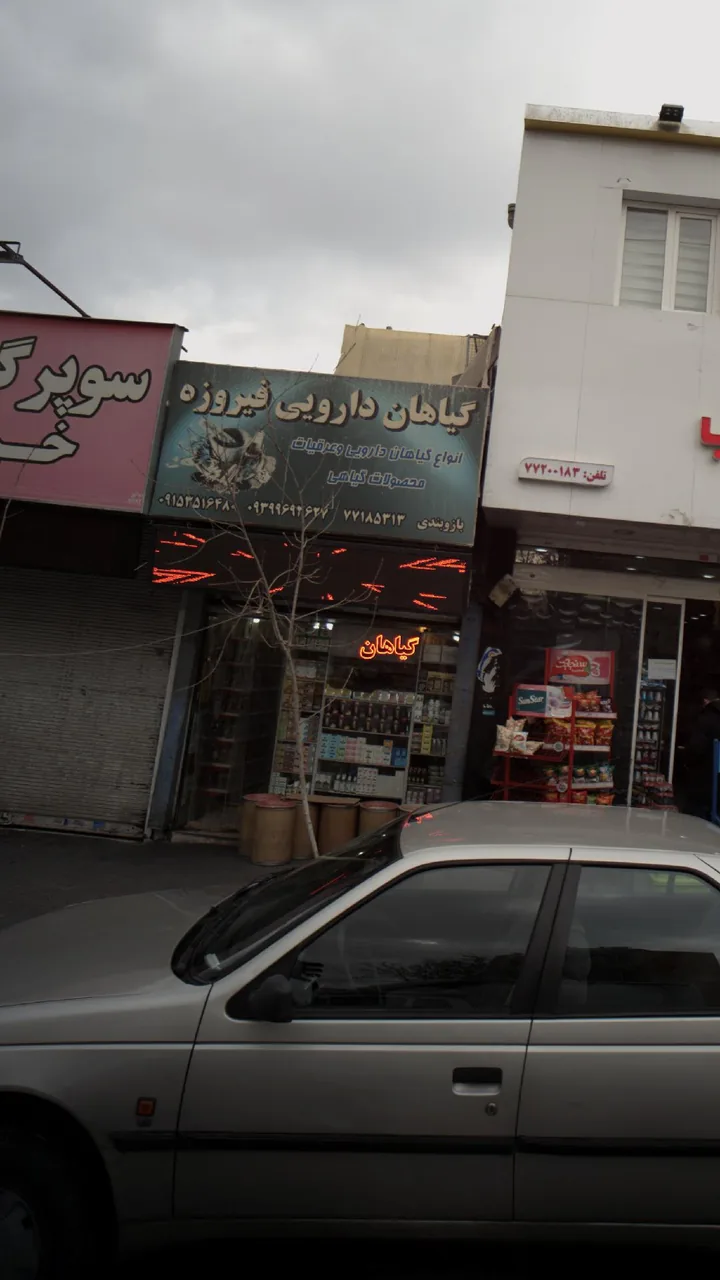 گیاهان دارویی فیروزه - تصویر 2