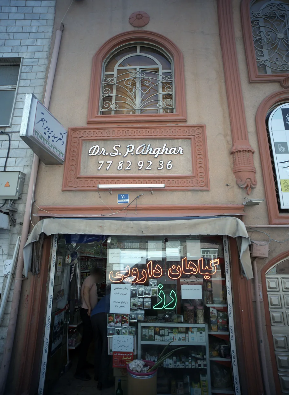 گیاهان دارویی رز