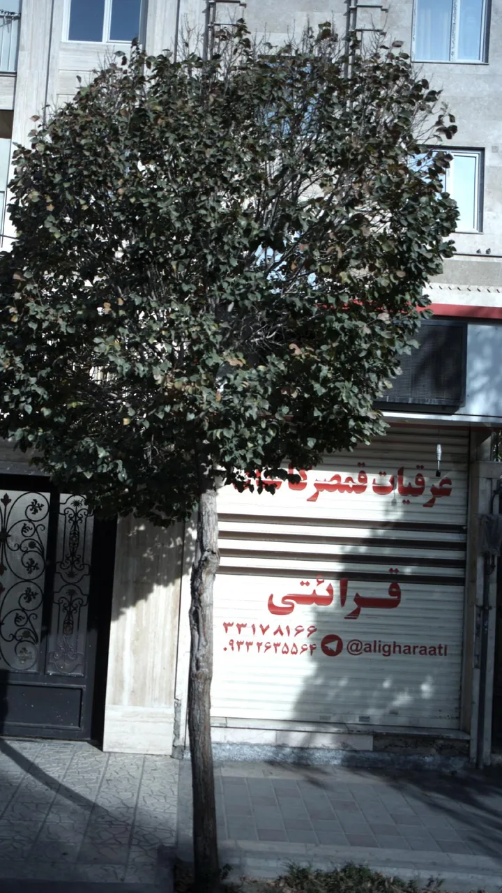 عرقیات قمصر کاشان قرائتی