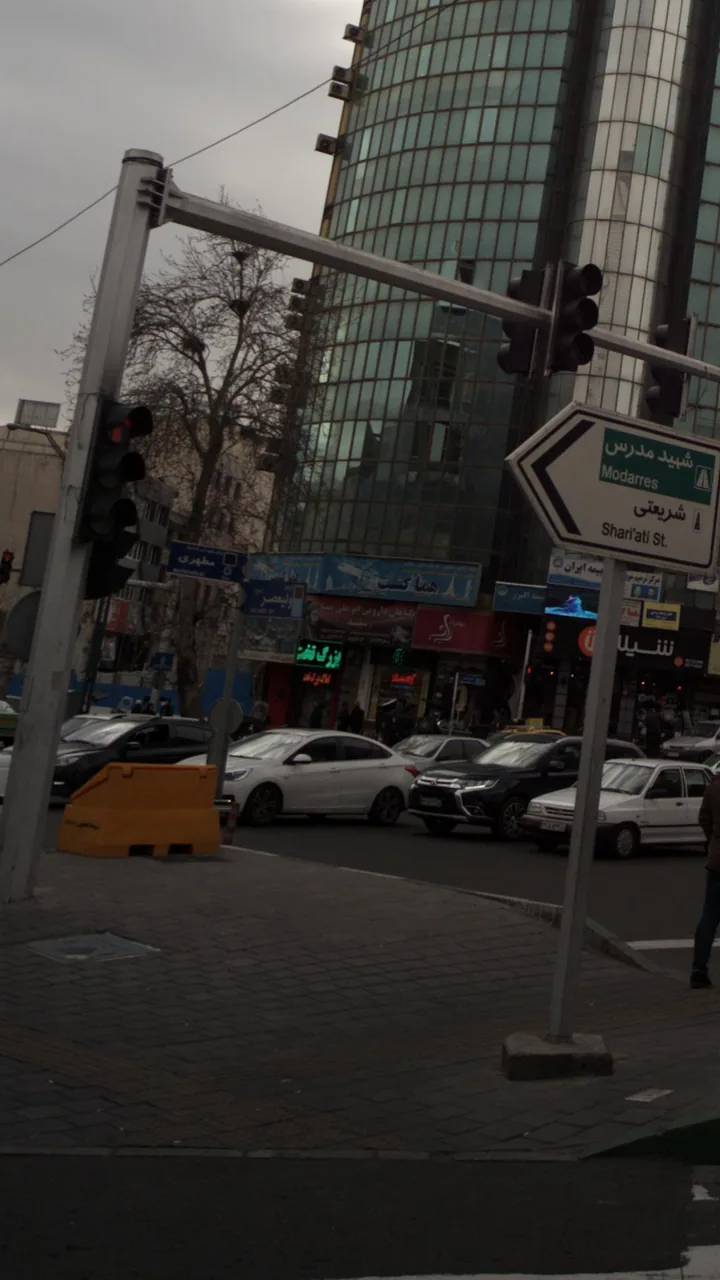 گیاهان دارویی ابو علی سینا (سید) - تصویر 2