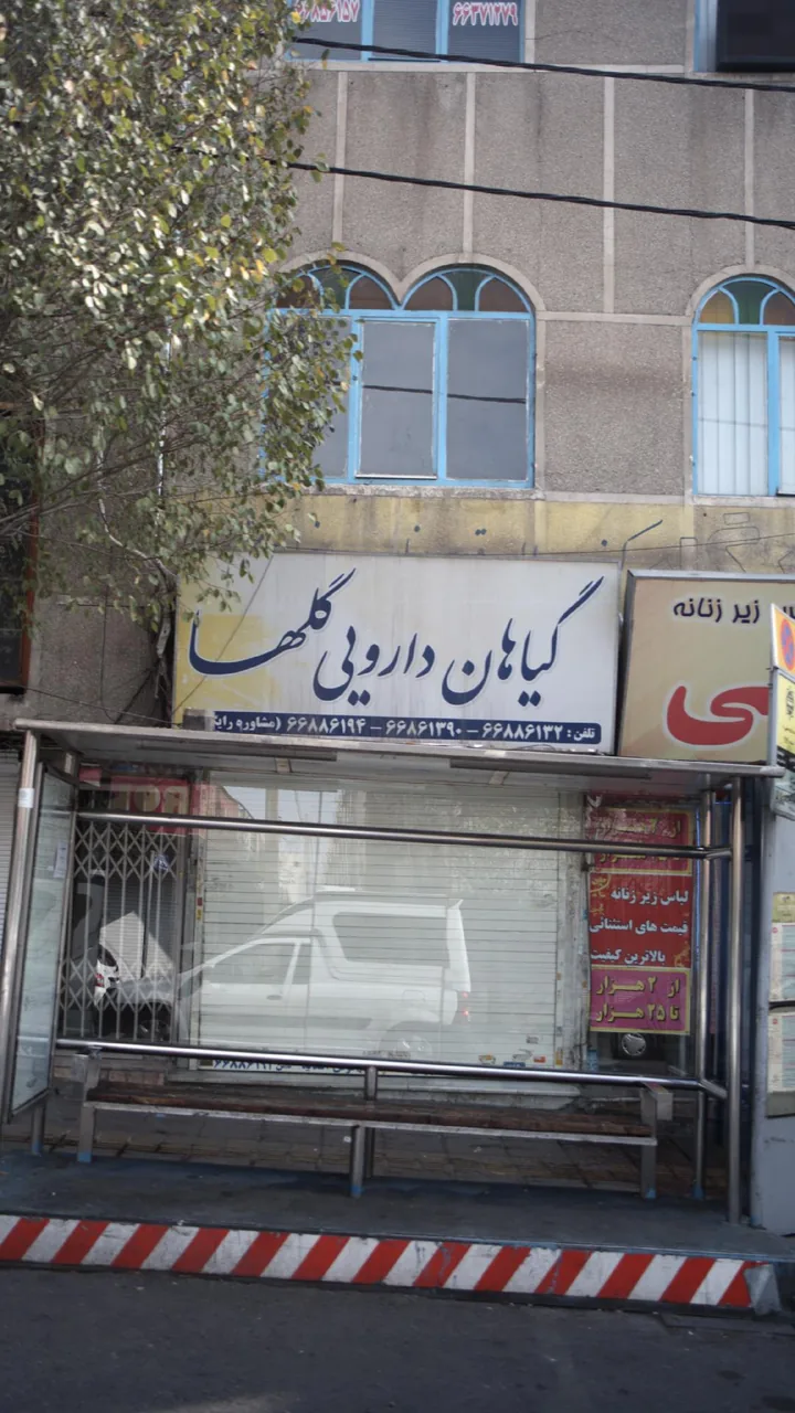 گیاهان دارویی گلها