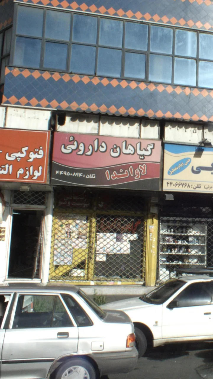 گیاهان داروئی لاواندا - تصویر 2