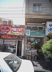 گیاهان دارویی حکیم نیشابوری