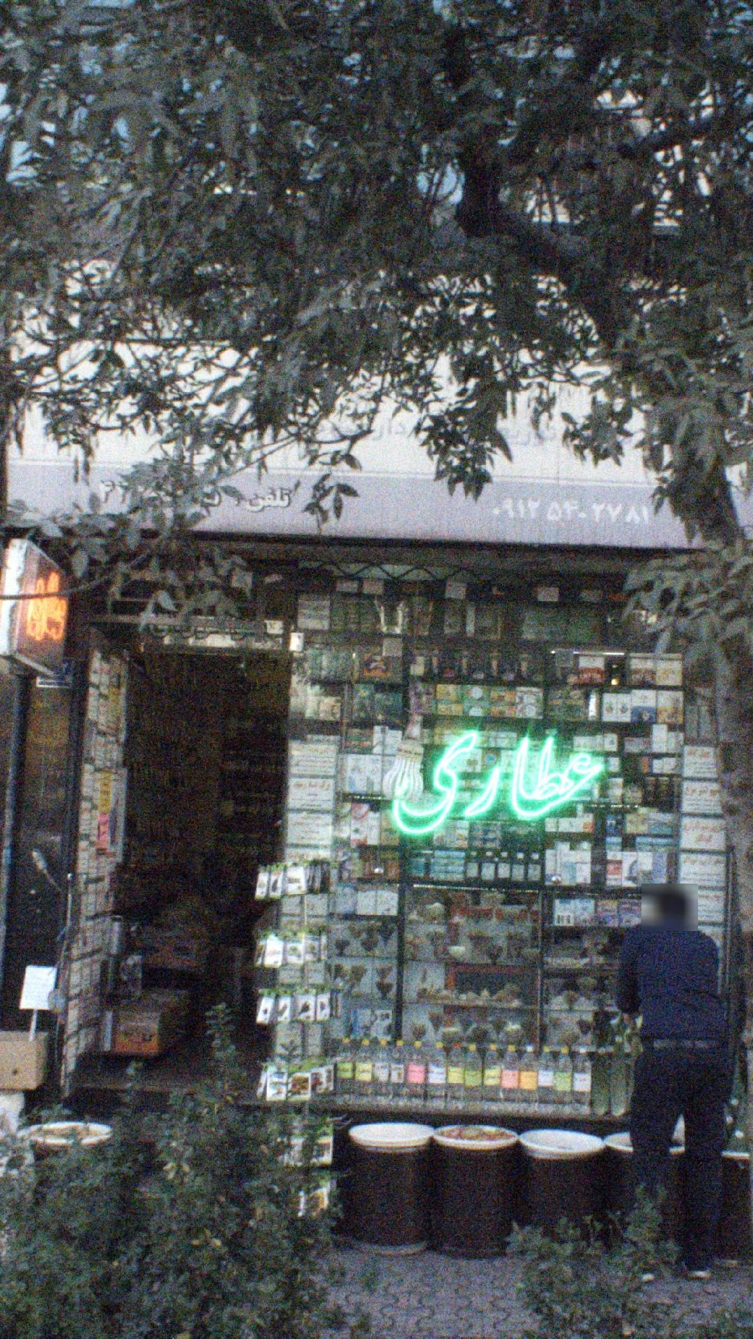 گیاهان داروئی حکیم