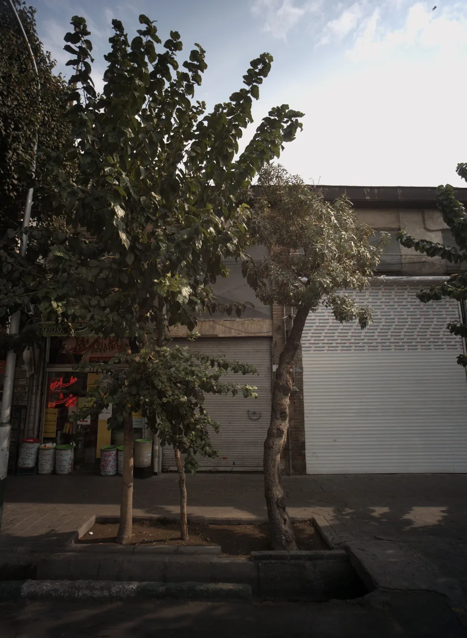 عطاری میخوش