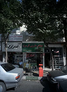 گیاهان دارویی گل سرخ