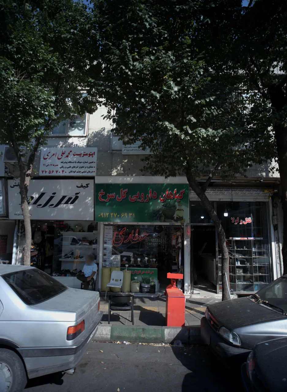گیاهان دارویی گل سرخ