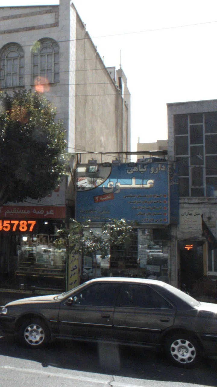 دارو گیاهی علوی - تصویر 2