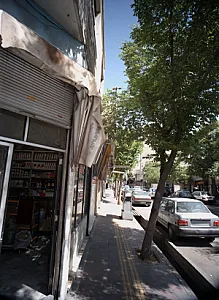 گیاهان دارویی نیشابوری