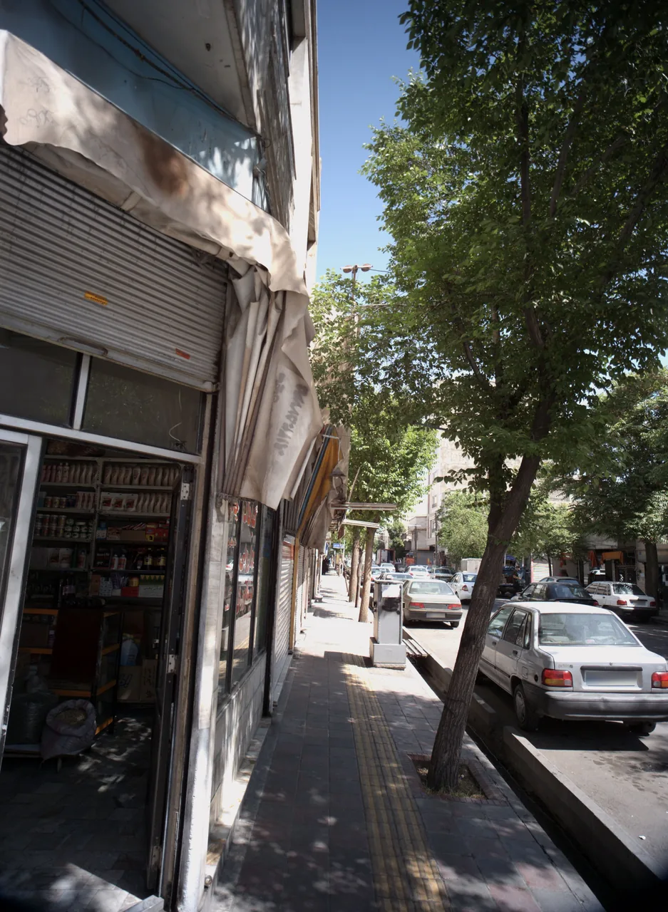 گیاهان دارویی نیشابوری