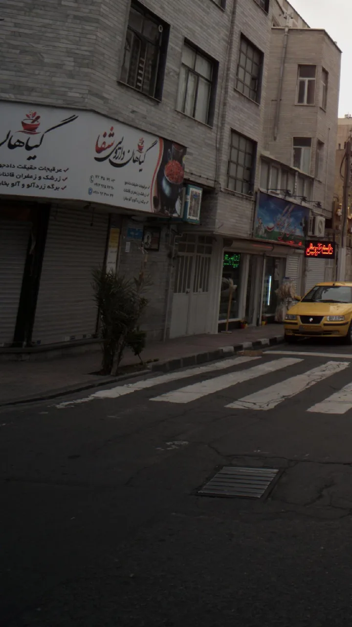 گیاهان دارویی شفا - تصویر 2
