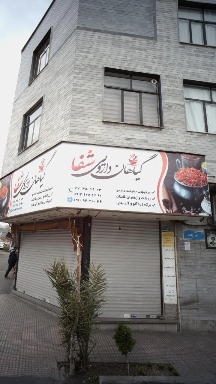 گیاهان دارویی شفا - تصویر 3