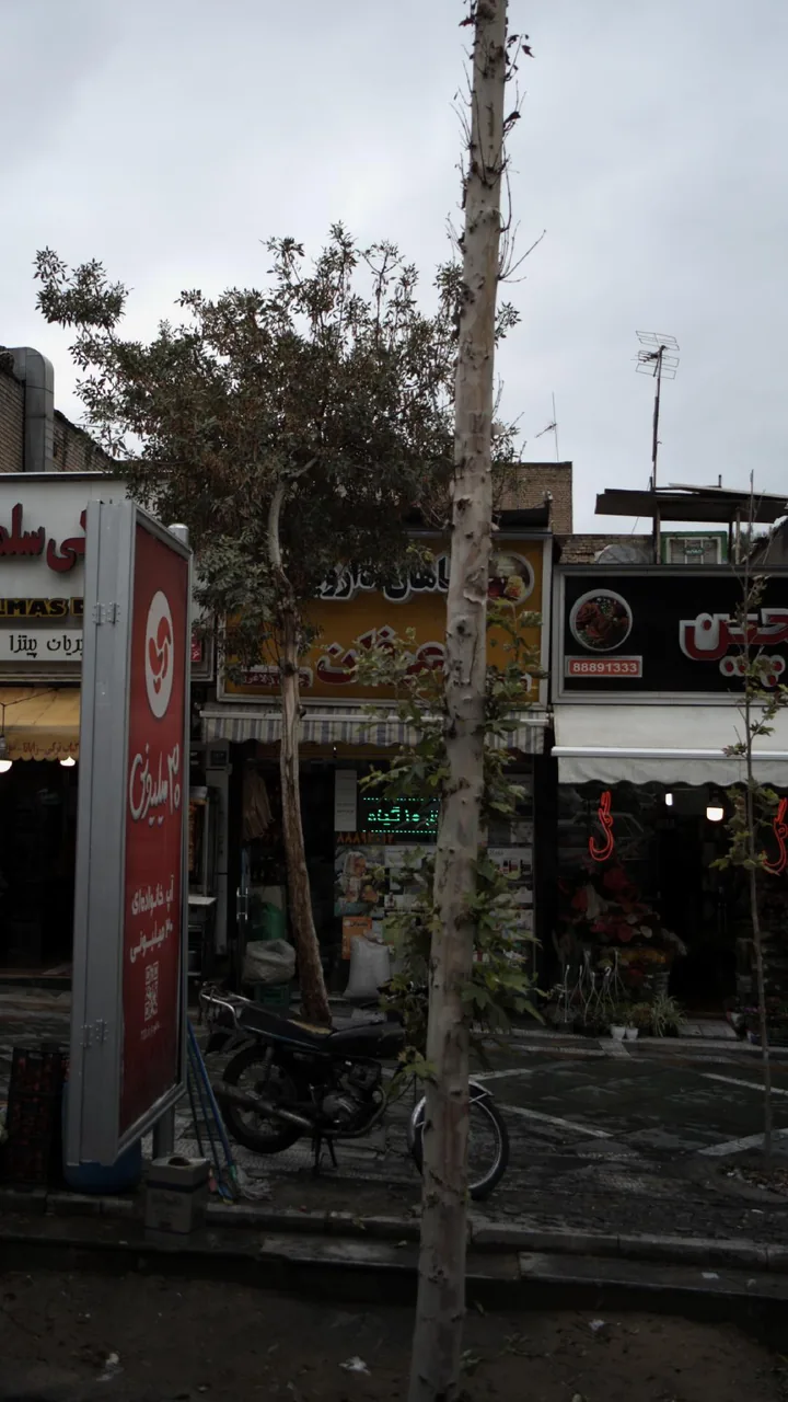گیاهان دارویی عرفان - تصویر 2