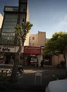 گیاهان دارویی گلپر
