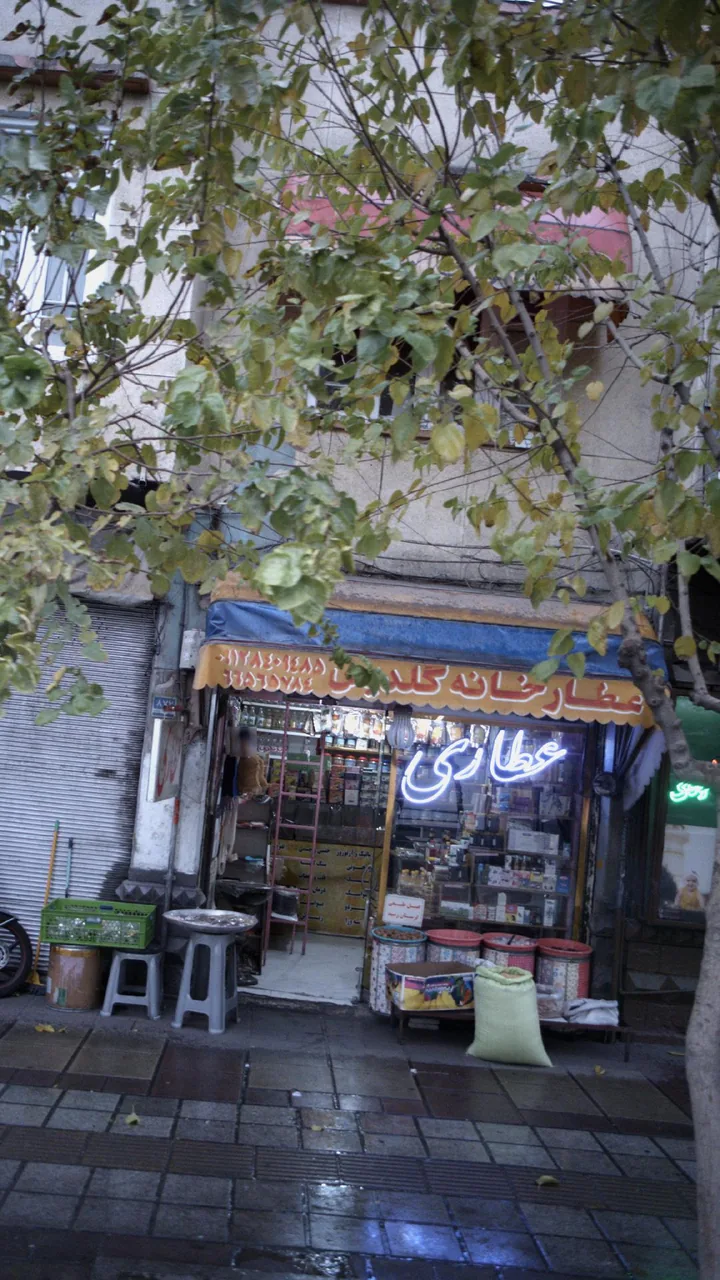 عطارخانه گلدیس - تصویر 2