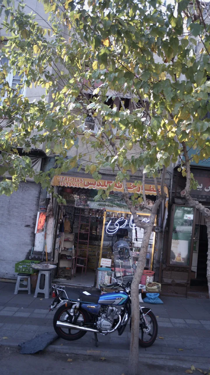 عطارخانه گلدیس - تصویر 3