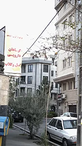 گیاهان دارویی گل وگلاب
